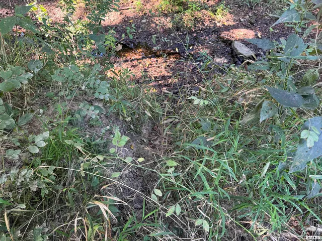 $97,500 | 0 Old Highway 50 Highway, Xenia, IL 62899