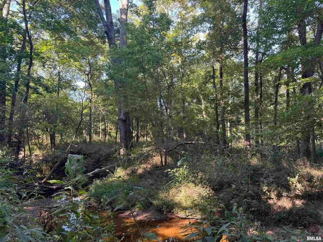 $97,500 | 0 Old Highway 50 Highway, Xenia, IL 62899