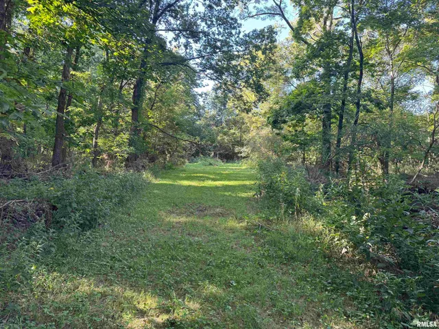 $97,500 | 0 Old Highway 50 Highway, Xenia, IL 62899