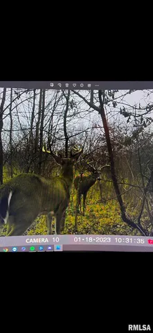 $97,500 | 0 Old Highway 50 Highway, Xenia, IL 62899