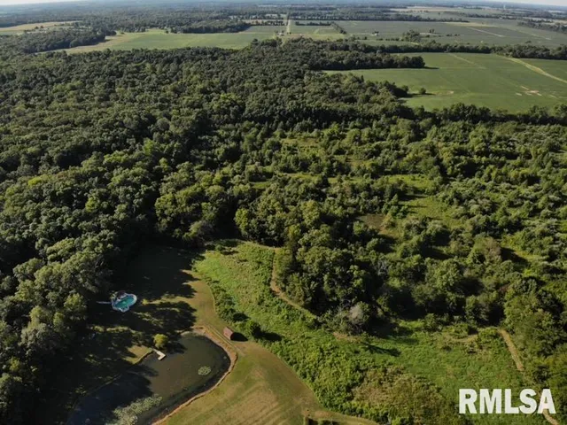 $97,500 | 0 Old Highway 50 Highway, Xenia, IL 62899