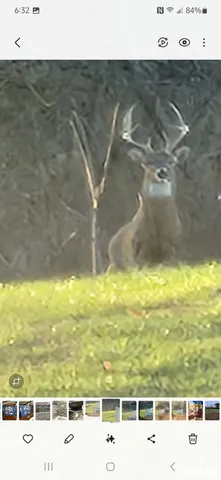 $97,500 | 0 Old Highway 50 Highway, Xenia, IL 62899