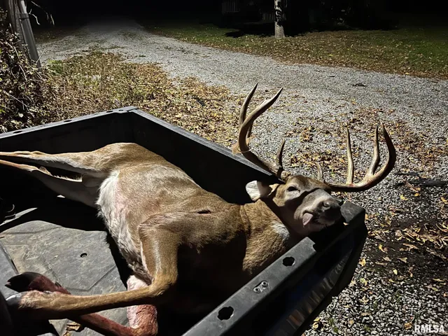 $97,500 | 0 Old Highway 50 Highway, Xenia, IL 62899