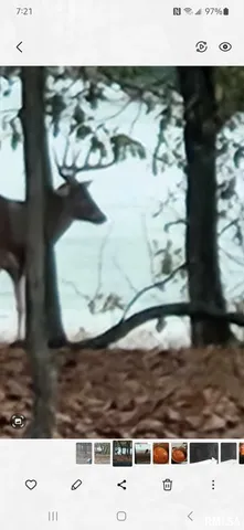 $97,500 | 0 Old Highway 50 Highway, Xenia, IL 62899