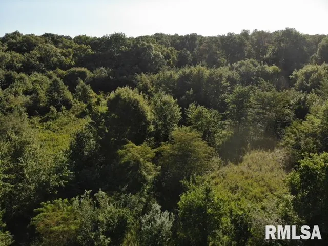 $97,500 | 0 Old Highway 50 Highway, Xenia, IL 62899