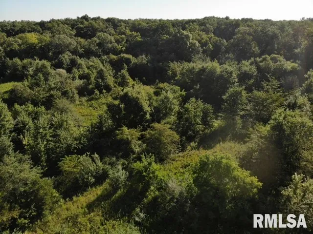 $97,500 | 0 Old Highway 50 Highway, Xenia, IL 62899