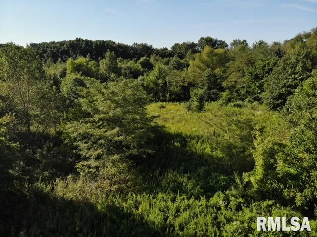 $97,500 | 0 Old Highway 50 Highway, Xenia, IL 62899