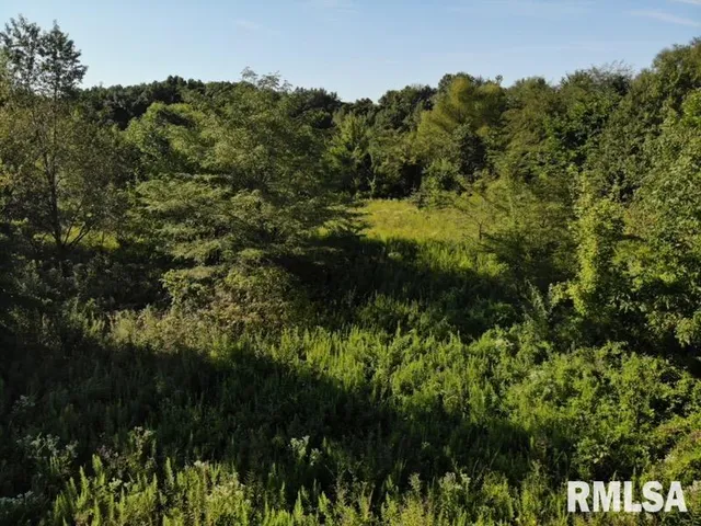 $97,500 | 0 Old Highway 50 Highway, Xenia, IL 62899