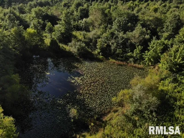 $97,500 | 0 Old Highway 50 Highway, Xenia, IL 62899