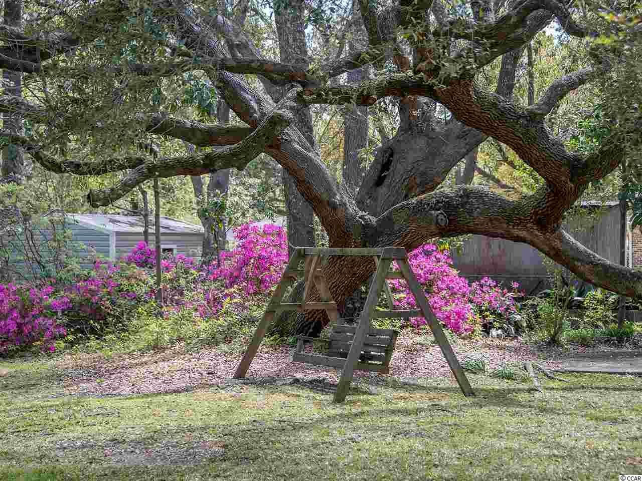 1007-1001 Cuttino Street Georgetown, SC 29440 - Photo 3 of 29 Gallery Image 3