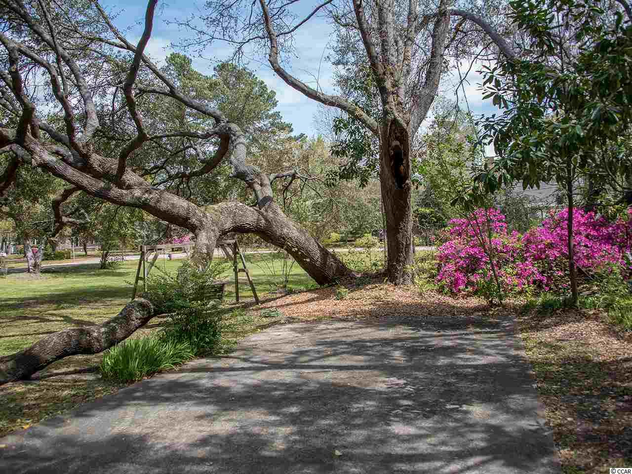 1007-1001 Cuttino Street Georgetown, SC 29440 - Photo 5 of 29 Gallery Image 5