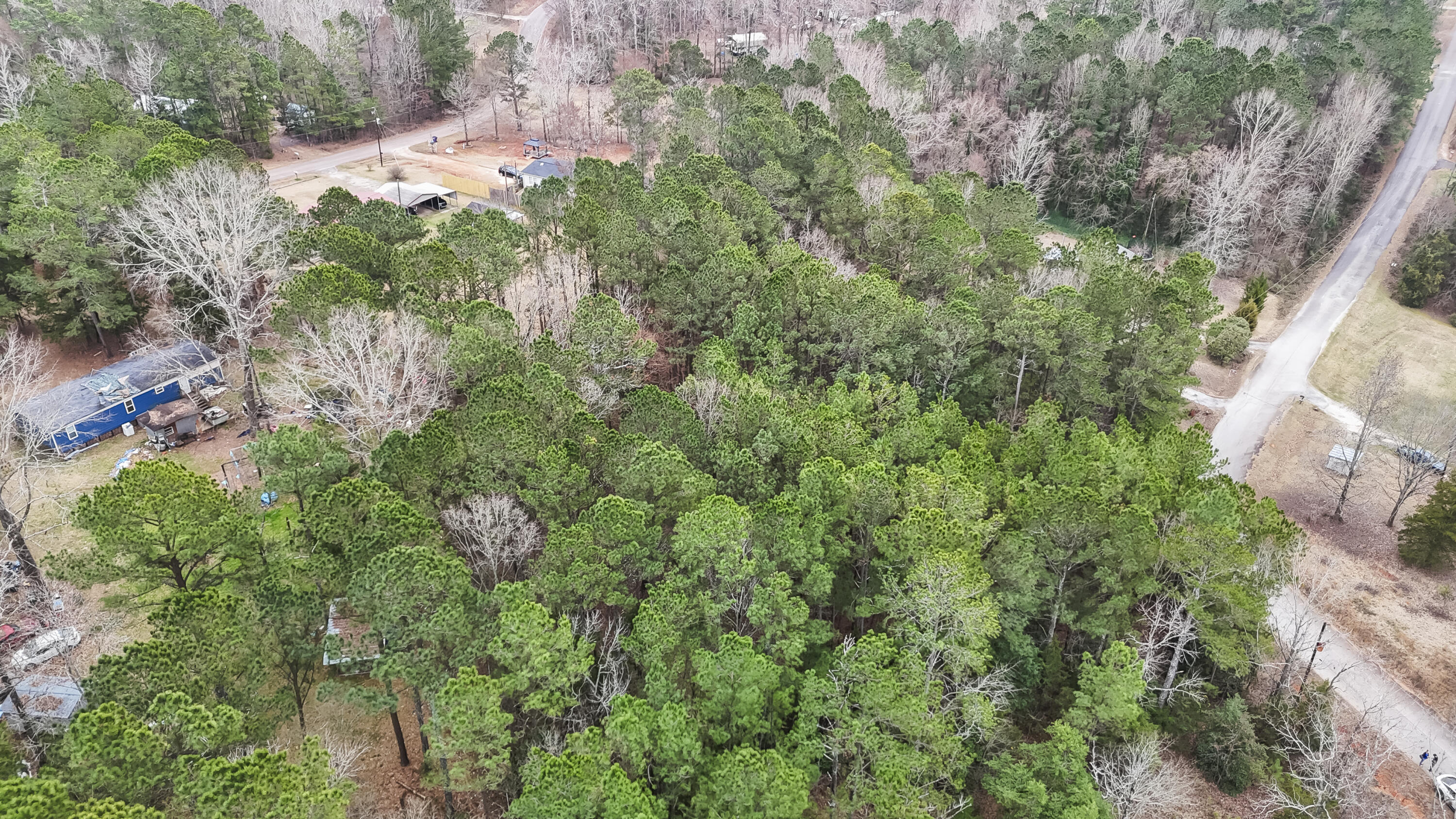 0 Twin Ponds Road Newberry, SC 29108 - Photo 9 of 19