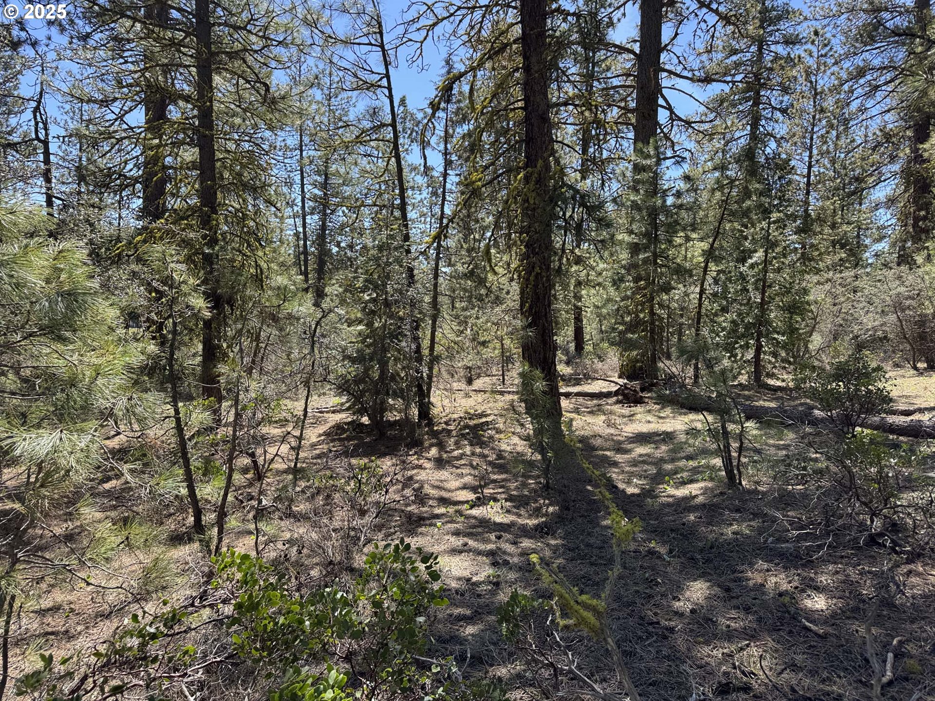 Horned Owl Lane Bonanza, OR 97623 - Photo 36 of 44