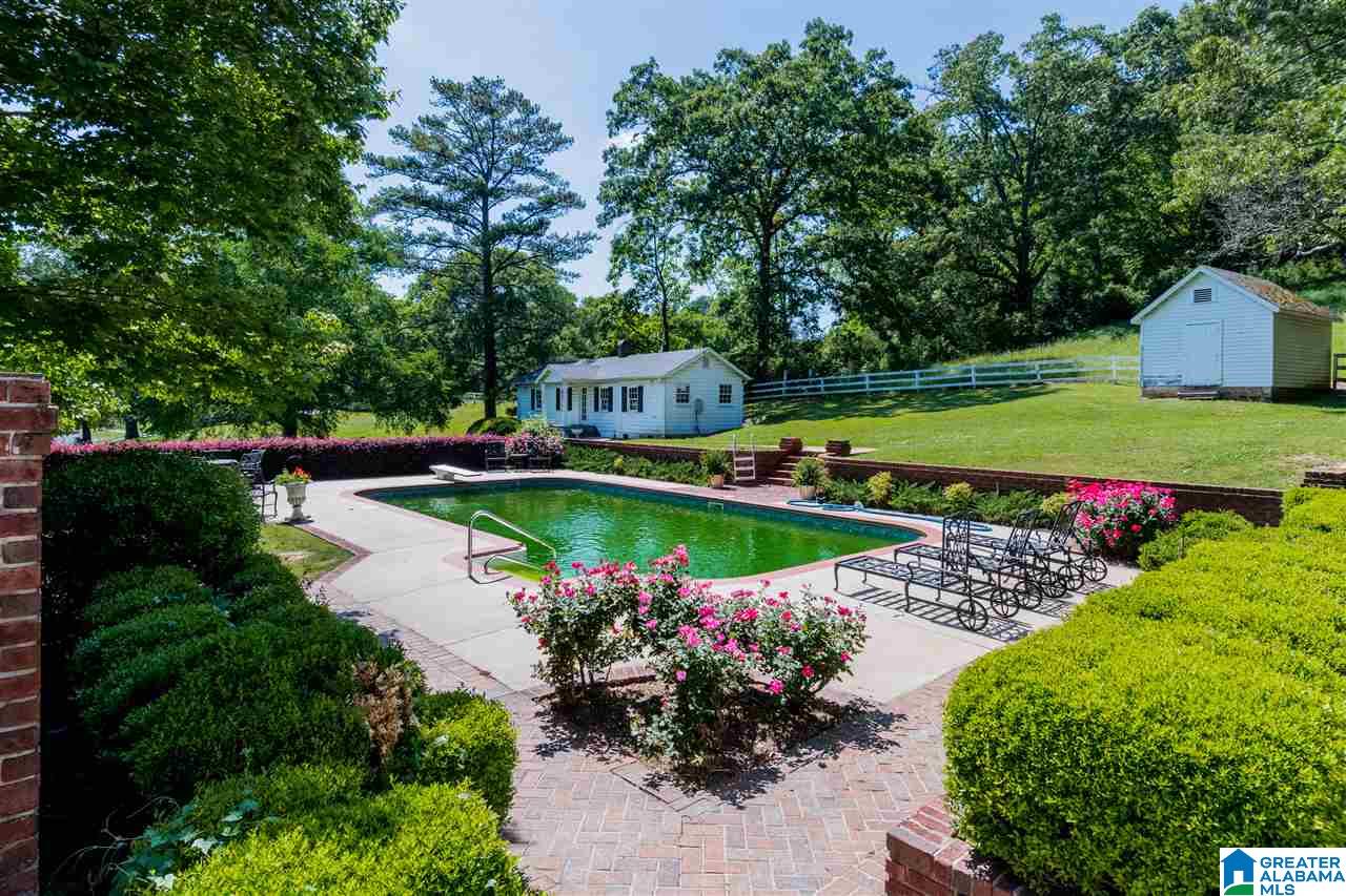 20 County Road 15 Oneonta, AL 35121 - Photo 17 of 41