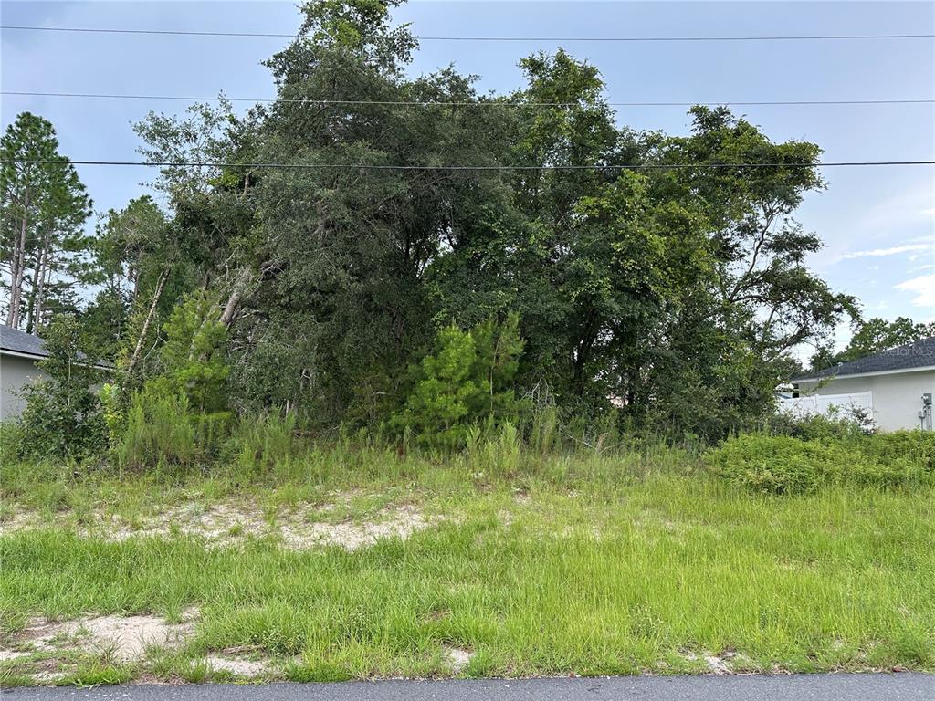 0 Southwest 166th Loop Ocala, FL 34473 - Photo 1 of 1 Gallery Image 1