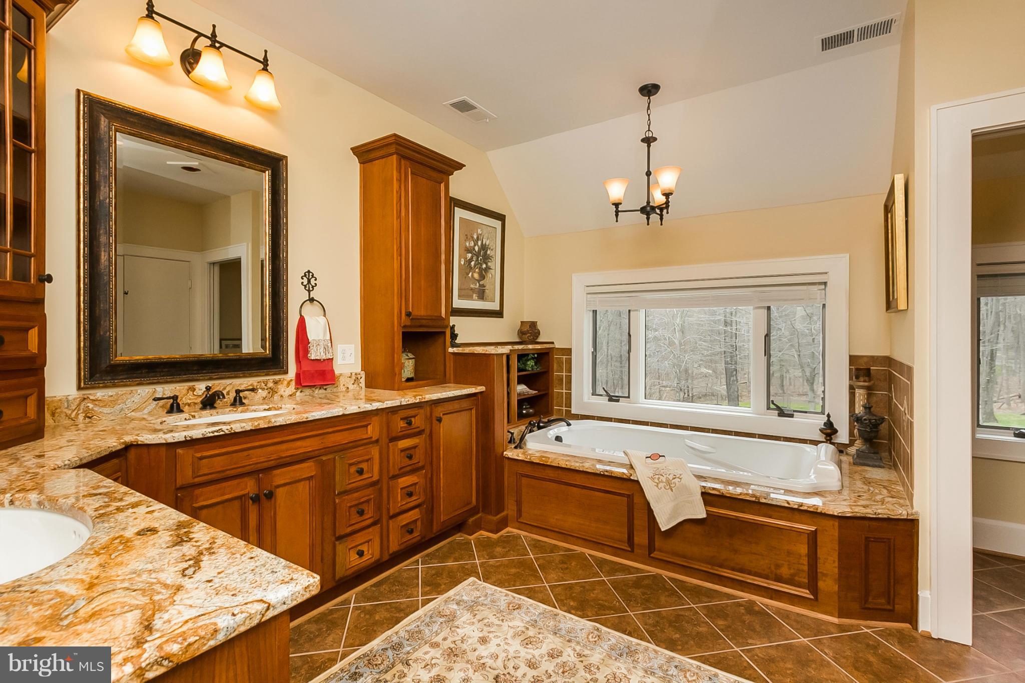 1337 Blue Mt Road Monkton, MD 21111 - Photo 13 of 30 Master Bath