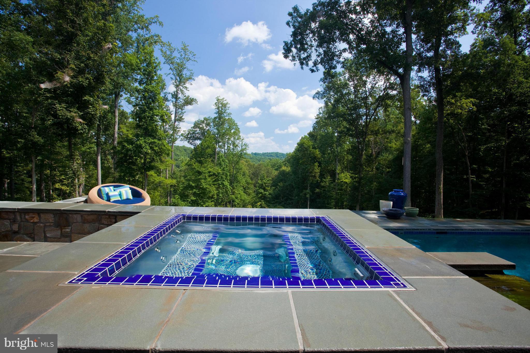 1337 Blue Mt Road Monkton, MD 21111 - Photo 28 of 30 Spa