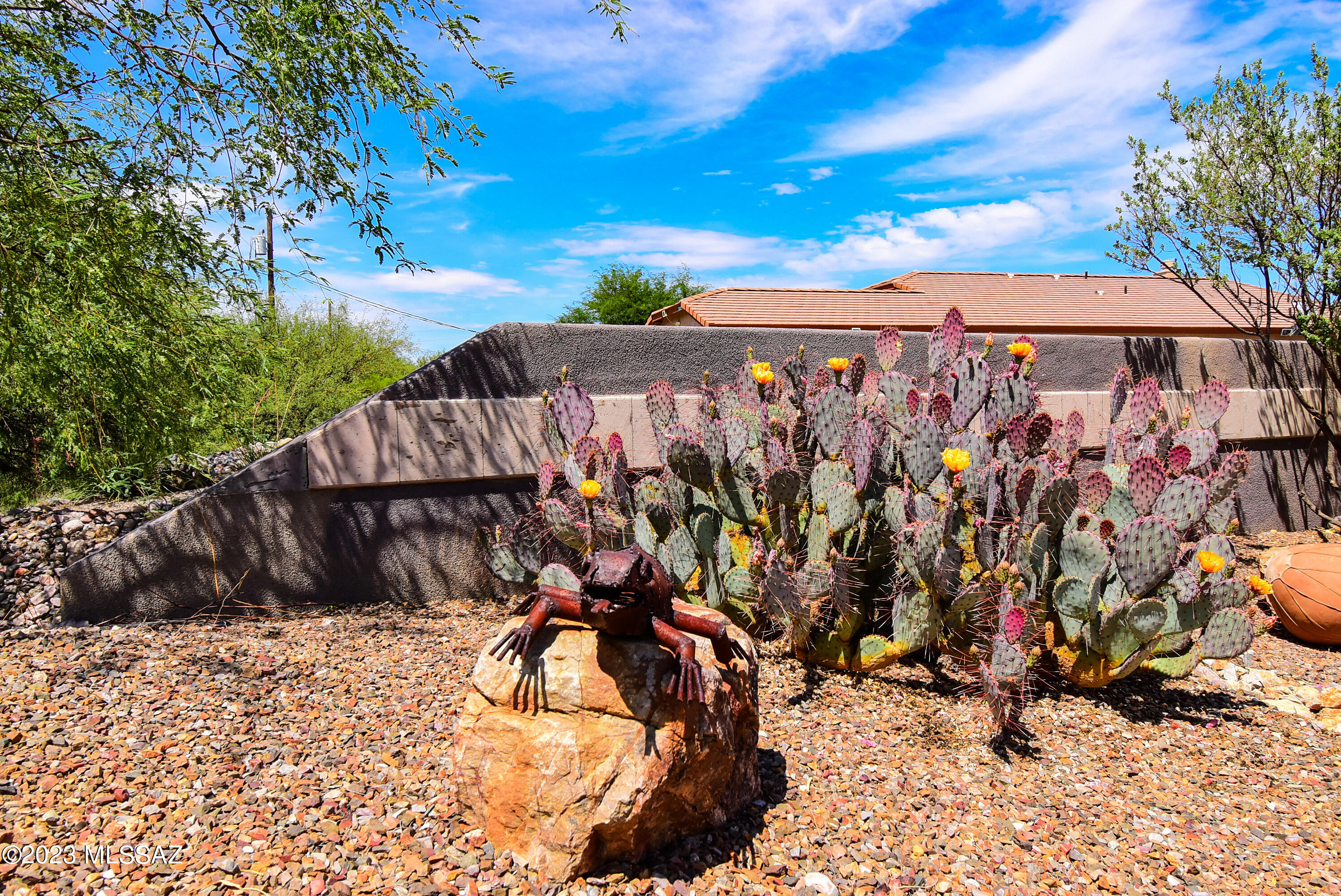 513 Camino Hombre De Oro Rio Rico, AZ 85648 - Photo 35 of 47