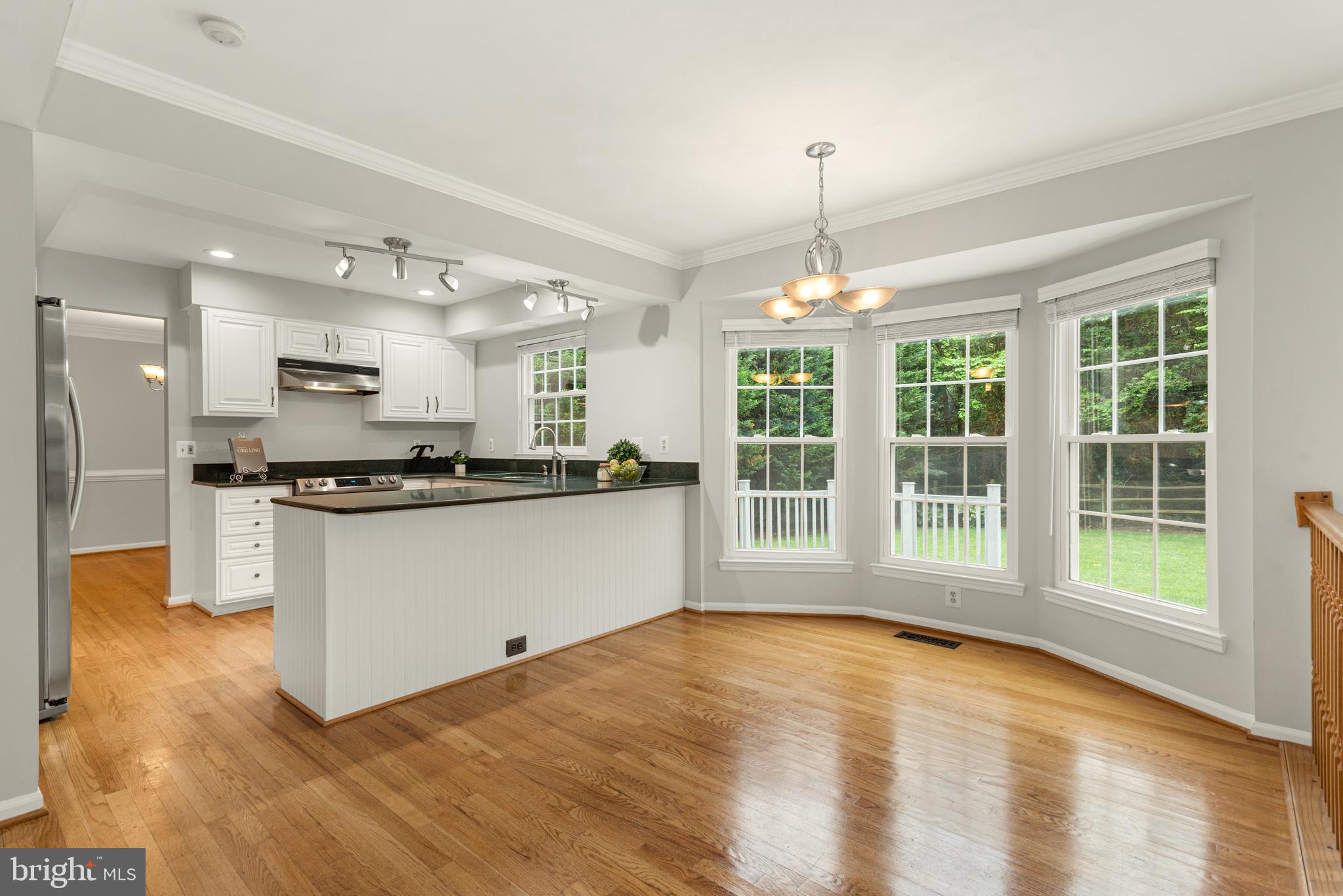 12701 Thunder Chase Drive Reston, VA 20191 - Photo 15 of 44 sunny breakfast rom