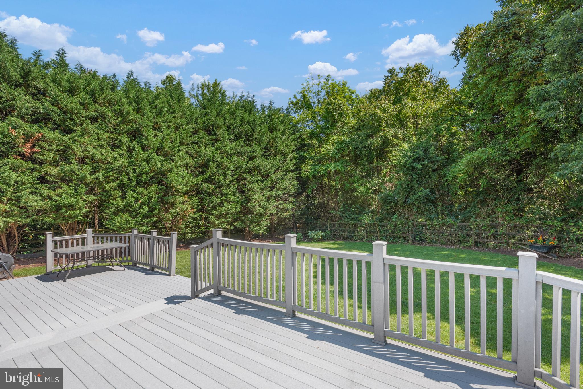 12701 Thunder Chase Drive Reston, VA 20191 - Photo 19 of 44 walk out to large trex deck