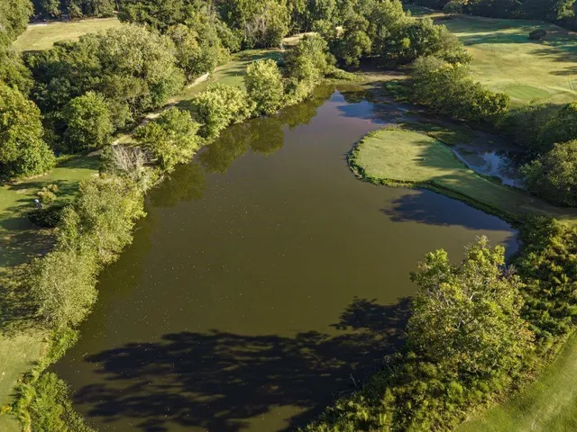 a view of street with parked cars