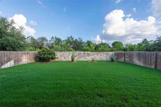 a view of a yard with a tree in the background