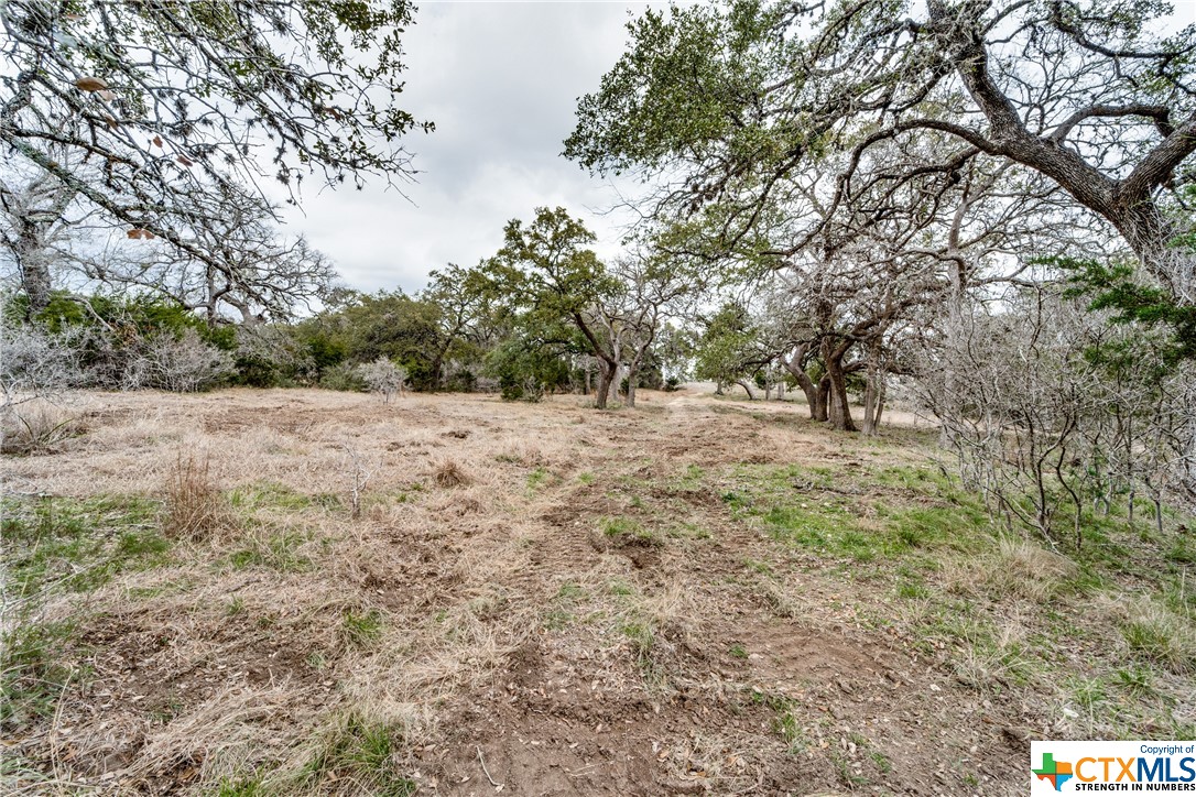 a view of empty field with trees