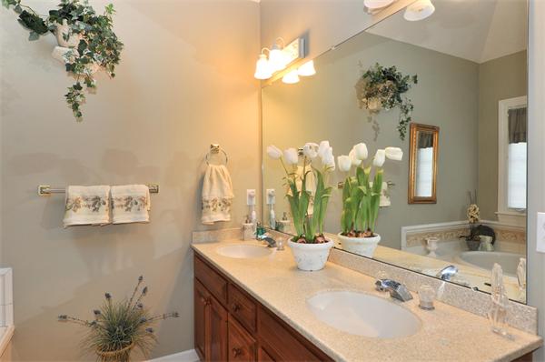 1 Bracken Road Shrewsbury, MA 01545 - Photo 19 of 30 Gallery Image 19