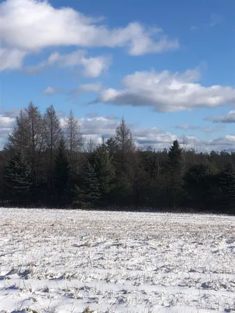 $239,000 | 0 M-72, Kalkaska, MI 49646