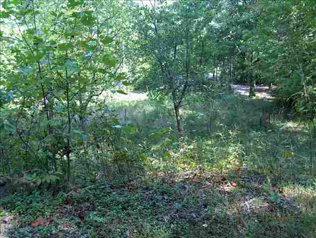 0 Tuscarora Loop Pickens, SC 29671 - Photo 3 of 4 Gallery Image 3