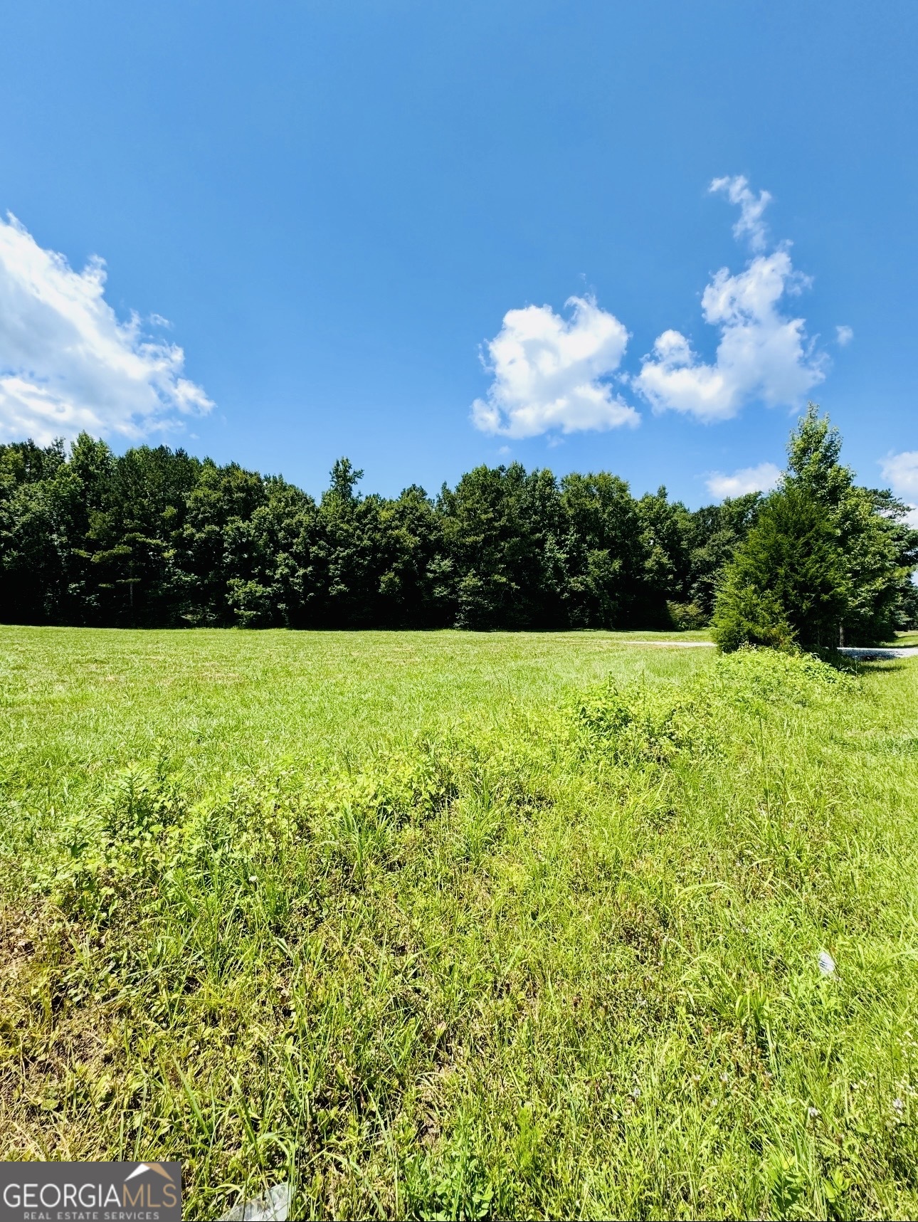 0 Willowood Road LaGrange, GA 30241 - Photo 3 of 27