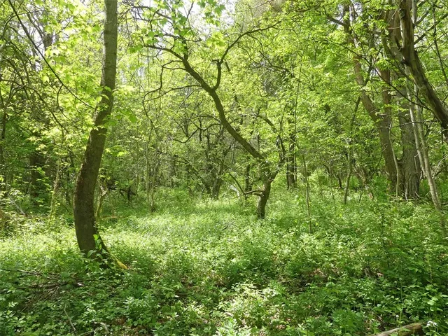 $79,000 | Lot 19 Orchard Lane, Bovina Center, NY 13740