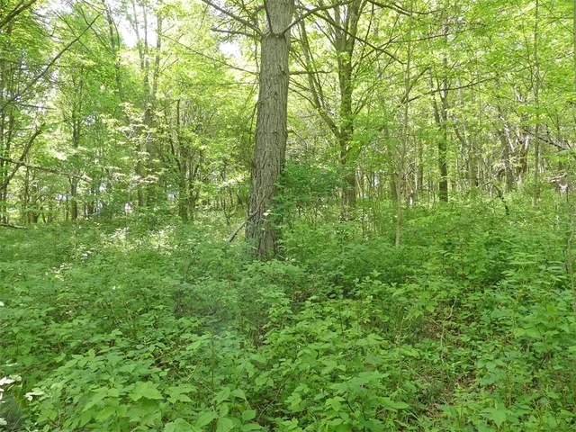 $79,000 | Lot 19 Orchard Lane, Bovina Center, NY 13740