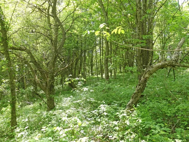 $79,000 | Lot 19 Orchard Lane, Bovina Center, NY 13740