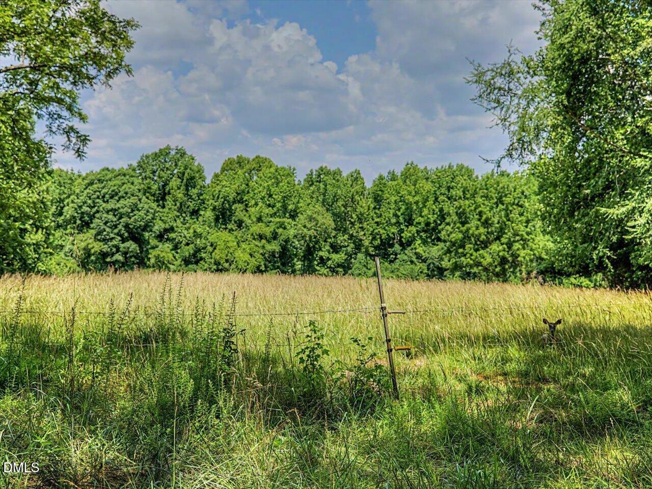 477 Jay Shambley Road Pittsboro, NC 27312 - Photo 18 of 28