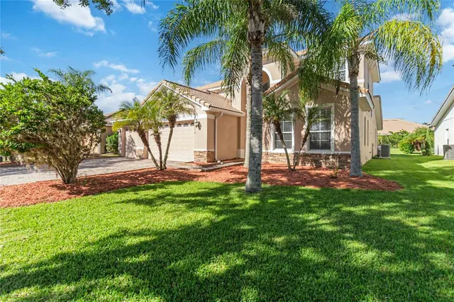 a view of backyard with palm trees