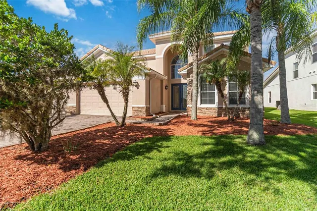 a view of a yard with plants and trees
