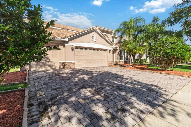 a view of a backyard with a tree