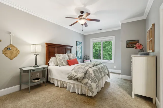 a view of a park with large trees