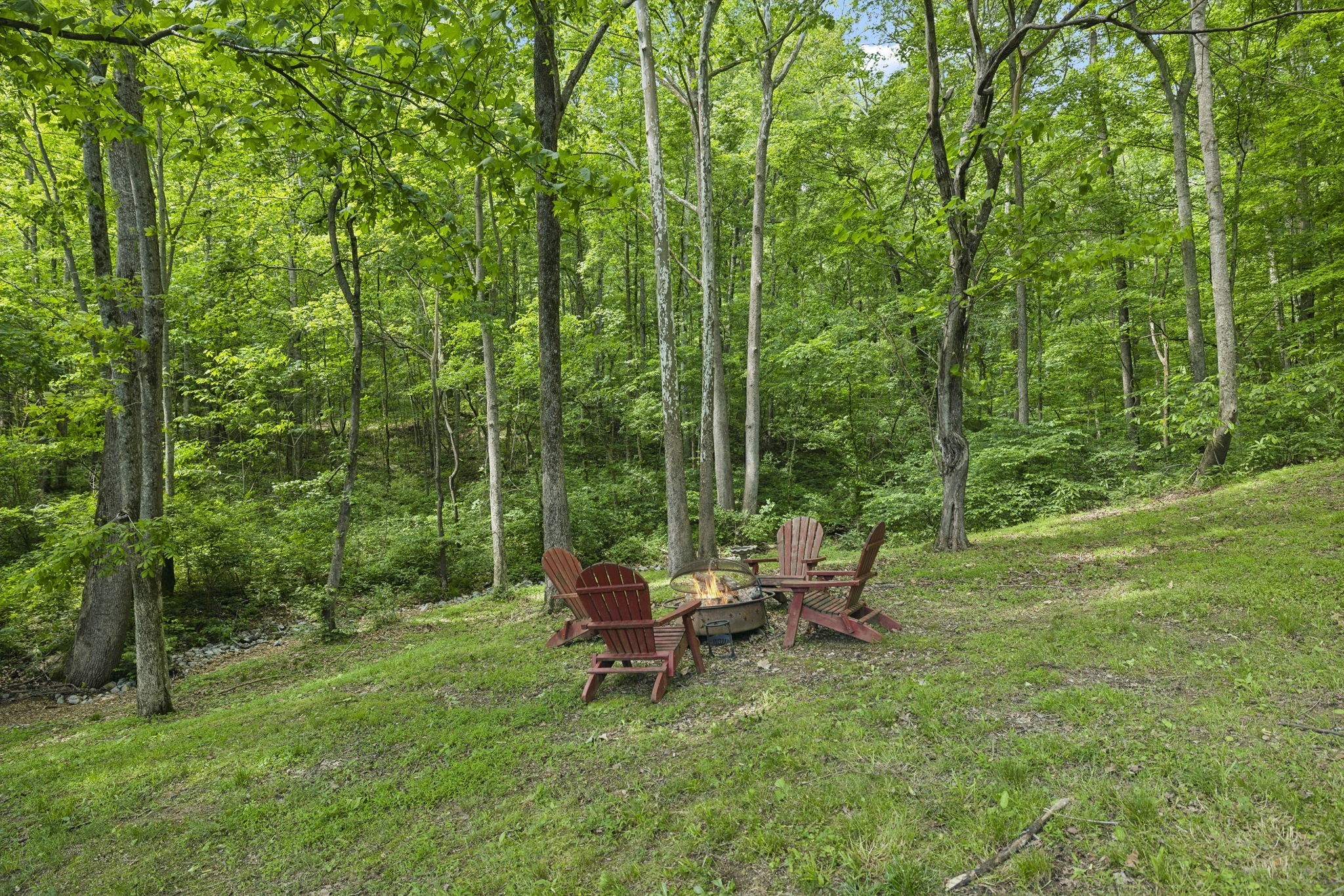 1075 Natchez Valley Lane Franklin, TN 37064 - Photo 50 of 64