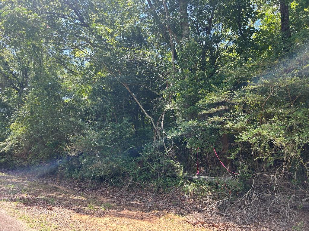 Lot 5-3 -ac Cty Road Newville, AL 36353 - Photo 9 of 13