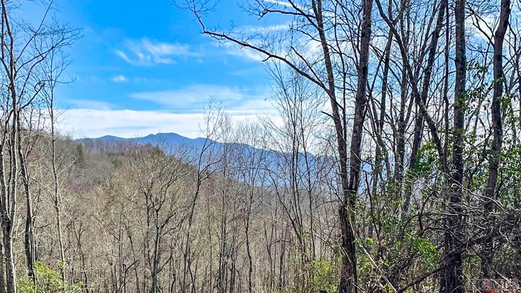 0 North Skeenah Road Franklin, NC 28734 - Photo 17 of 20 Gallery Image 17