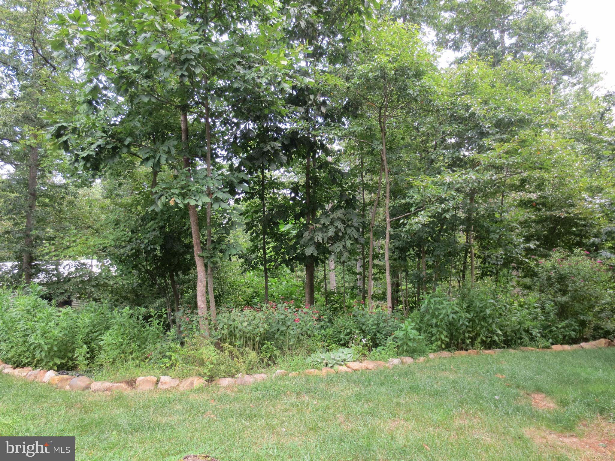 5515 Beverleys Mill Road Broad Run, VA 20137 - Photo 22 of 27 View