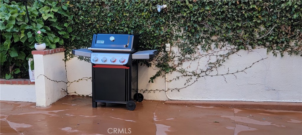 34283 Via Lopez Dana Point, CA 92624 - Photo 18 of 36 New 4 Burner Weber BBQ Just Outside Kitchen and Patios
