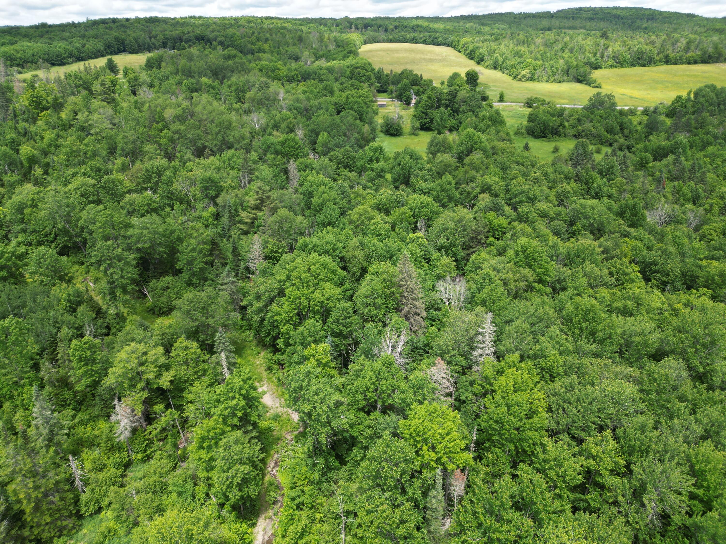 Lot 2 Main Road Carroll Plt, ME 04487 - Photo 10 of 14 DJI_0761
