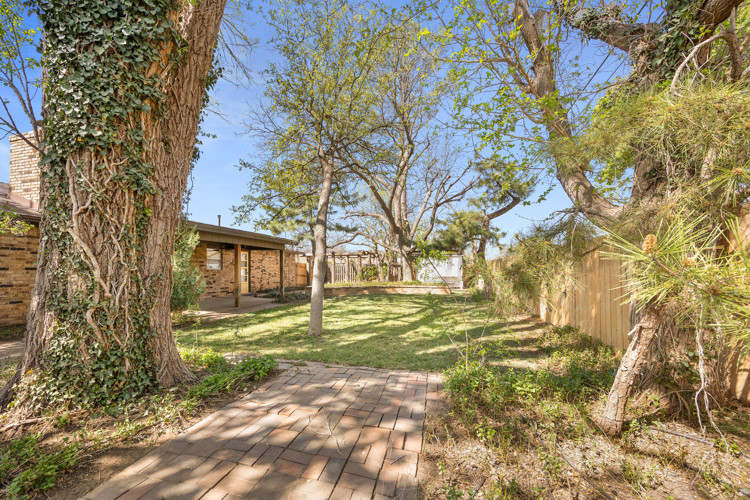 4416 62nd Street Lubbock, TX 79414 - Photo 66 of 70 a view of a yard with plants and trees