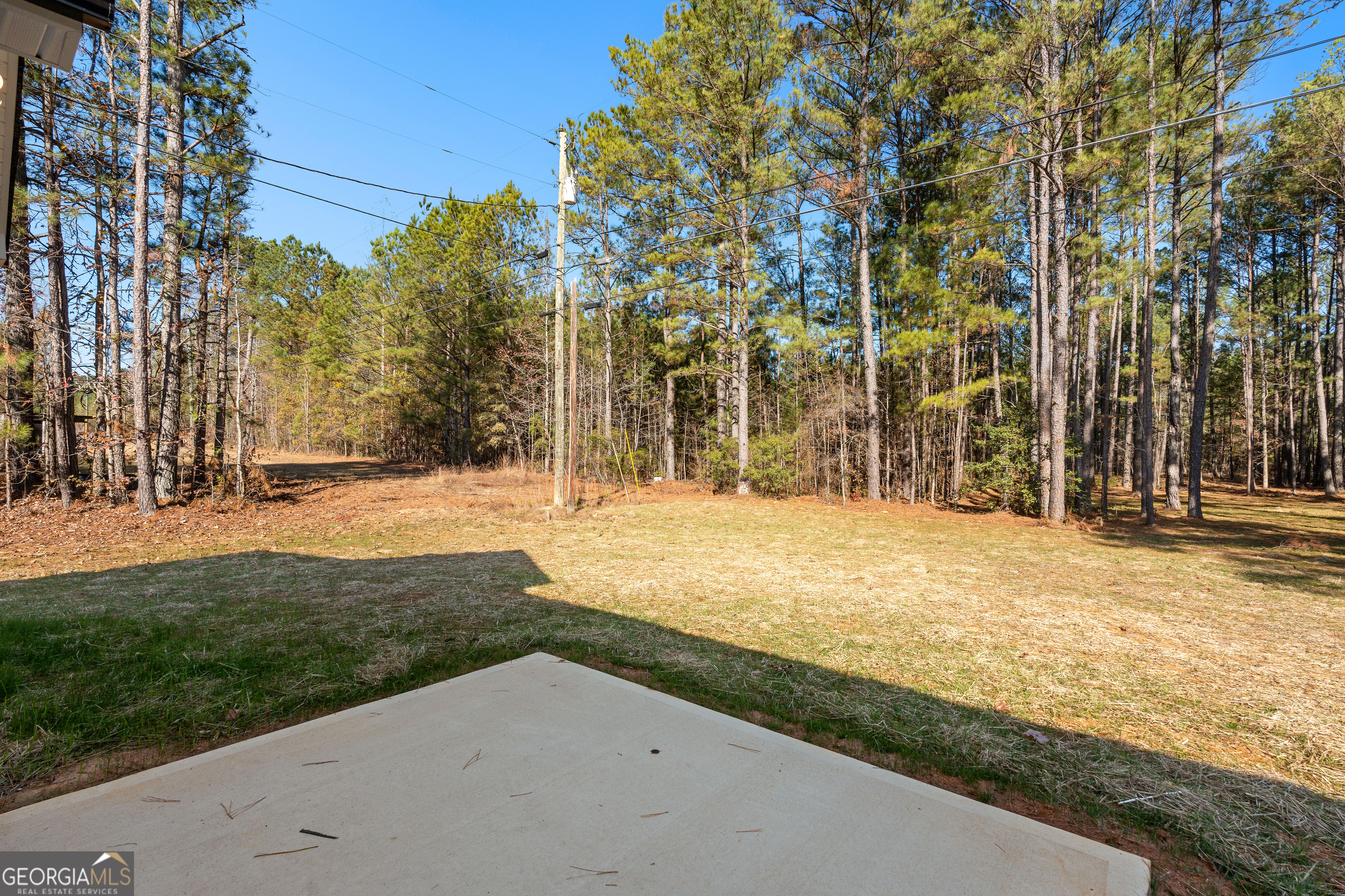 500 Todd Road Greenville, GA 30222 - Photo 41 of 47 a view of yard with tree