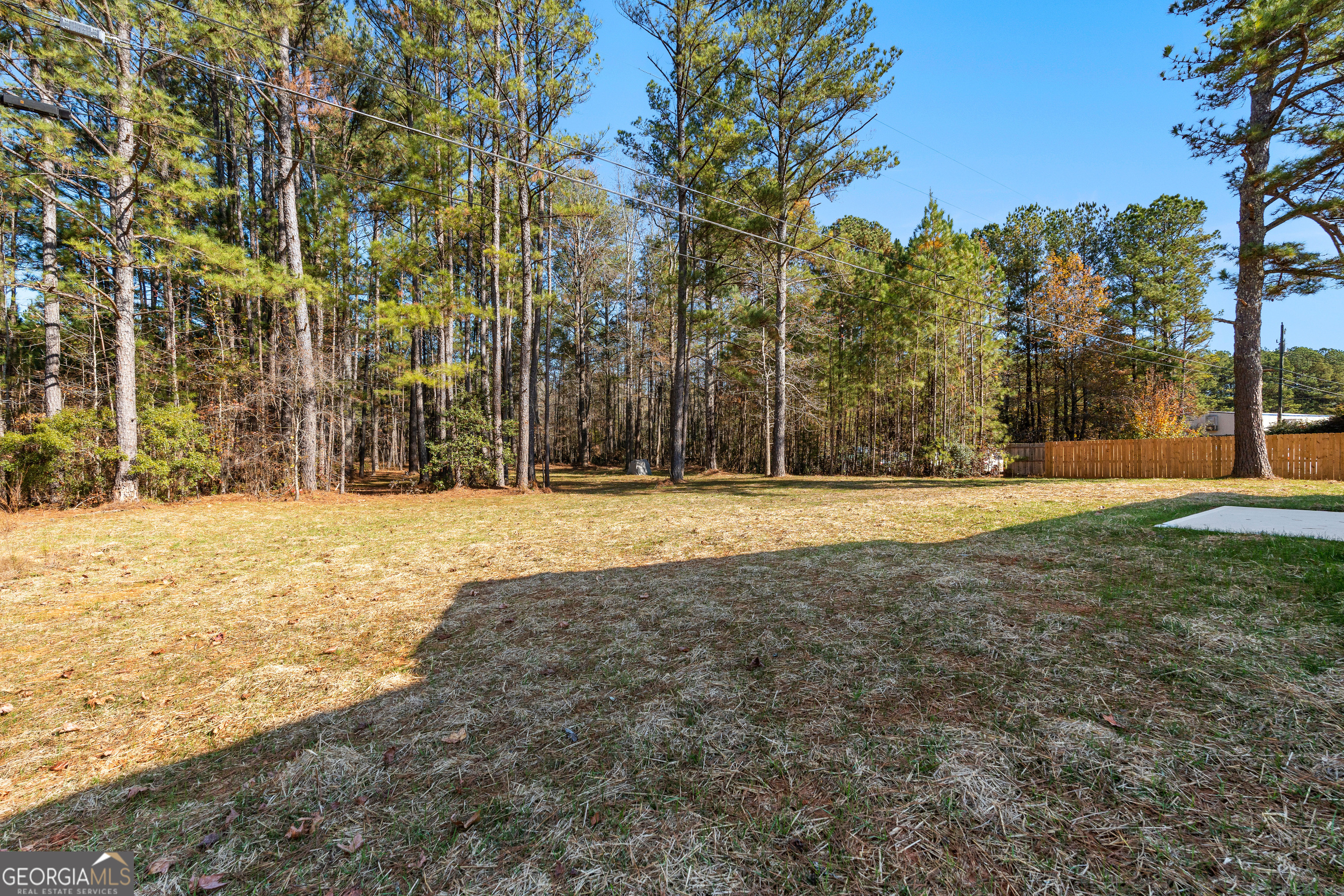 500 Todd Road Greenville, GA 30222 - Photo 42 of 47 a view of yard with trees