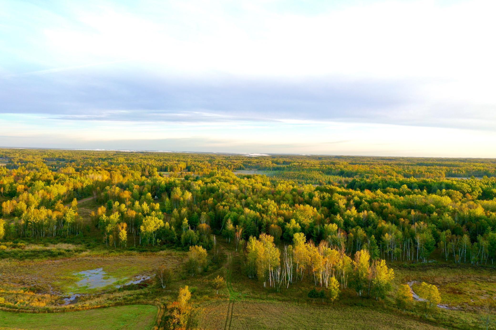 Na Dove Road Hinckley, MN 55037 - Photo 3 of 43