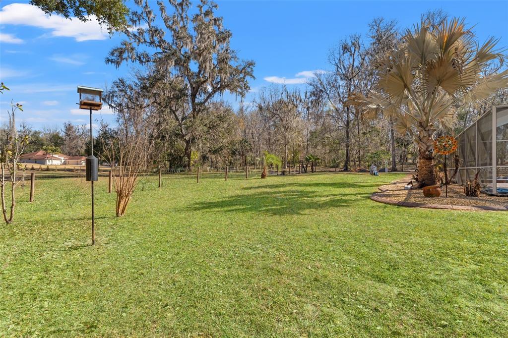 22391 Croom Road Brooksville, FL 34601 - Photo 46 of 51